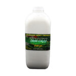 Akhavan Yogurt drink mint 2L